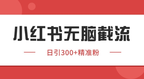 小红书截流同行客源，独家野路子获客玩法 日引200+暴力获客【揭秘】-87创业网