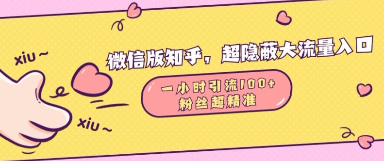 微信版知乎，超隐蔽流量入口1小时引流100人，粉丝质量超高【揭秘】-87创业网