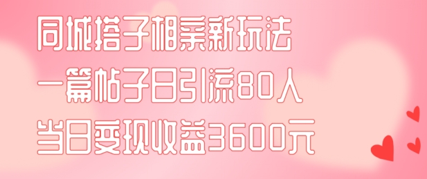 同城搭子相亲新玩法一篇帖子引流80人当日变现3600元(项目教程+实操教程)【揭秘】-87创业网