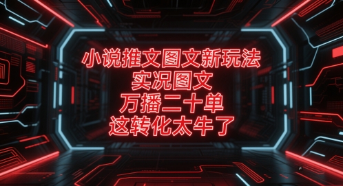 小说推文图文新玩法，实况图文，万播二十单，这转化太牛了！-87创业网