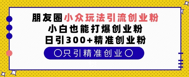 朋友圈小众玩法引流创业粉，小白也能打爆创业粉，日引300+精准创业粉【揭秘】-87创业网