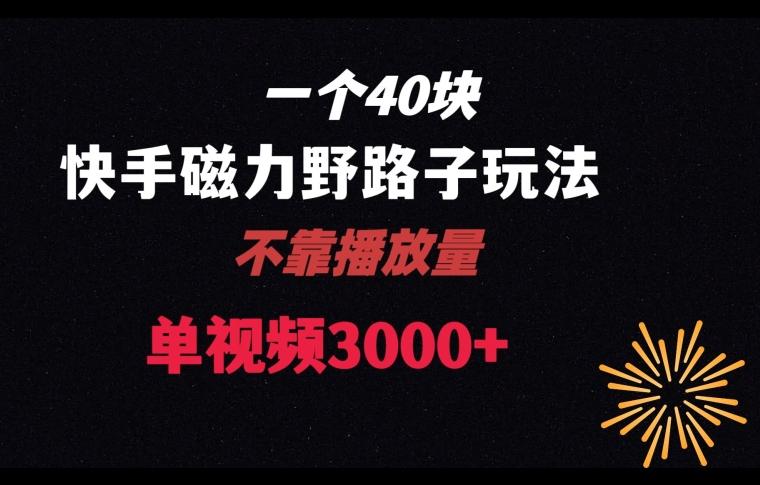 一个40块，快手联合美团磁力新玩法，无视机制野路子玩法，单视频收益4位数【揭秘】-87创业网