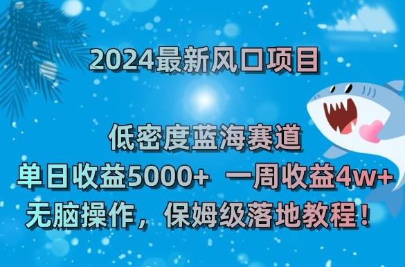 2024最新风口项目，低密度蓝海赛道，单日收益5000+，一周收益4w+！【揭秘】-87创业网