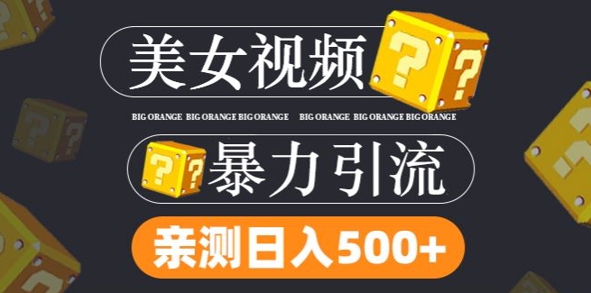 搬运tk美女视频全网分发，日引s粉300+，轻松变现，不限流量不封号【揭秘】-87创业网