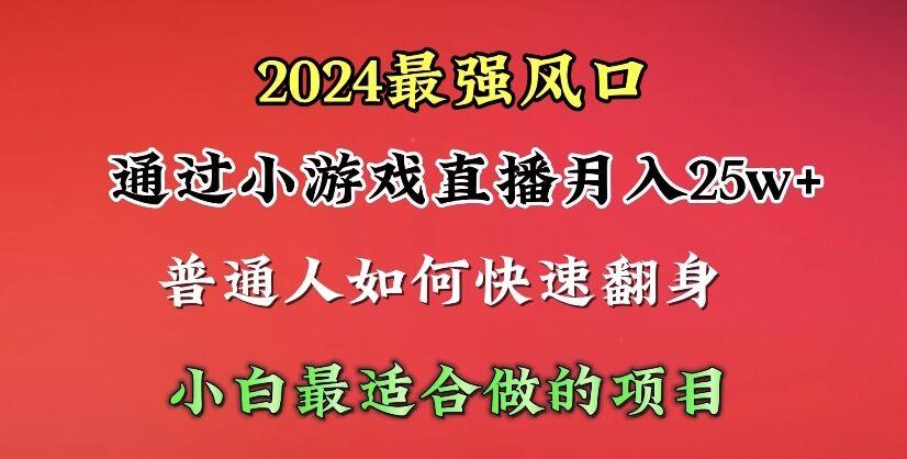 (10020期)2024年最强风口，通过小游戏直播月入25w+单日收益5000+小白最适合做的项目-87创业网