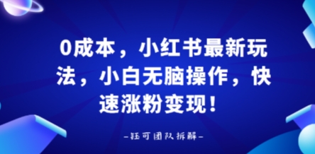 0成本，小红书最新玩法，小白无脑操作，快速涨粉变现-87创业网