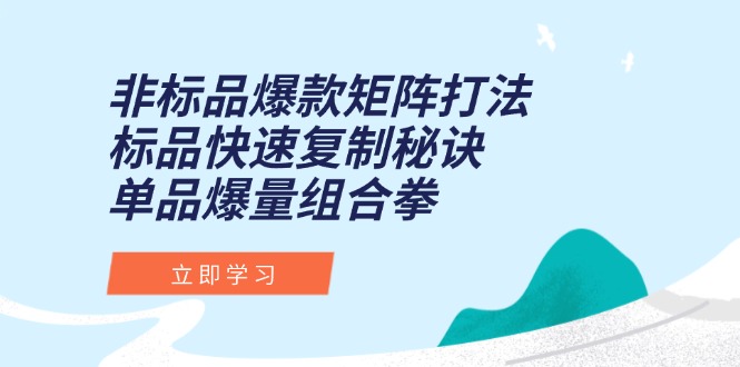 非标品爆款矩阵打法，标品快速复制秘诀，单品爆量组合拳-87创业网