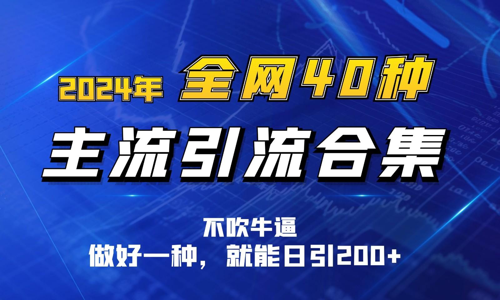 2024年全网40种暴力引流合计，做好一样就能日引100+-87创业网