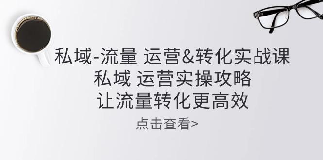 私域-流量 运营&转化实操课：私域 运营实操攻略 让流量转化更高效-87创业网