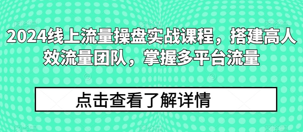 2024线上流量操盘实战课程，搭建高人效流量团队，掌握多平台流量-87创业网