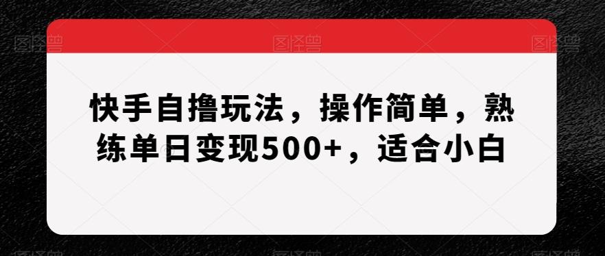 快手自撸玩法，操作简单，熟练单日变现500+，适合小白【揭秘】-87创业网