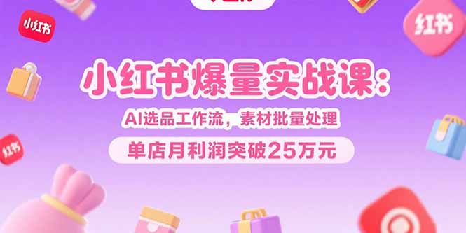 小红书爆量实战课：AI选品工作流，素材批量处理，单店月利润突破25万元-87创业网