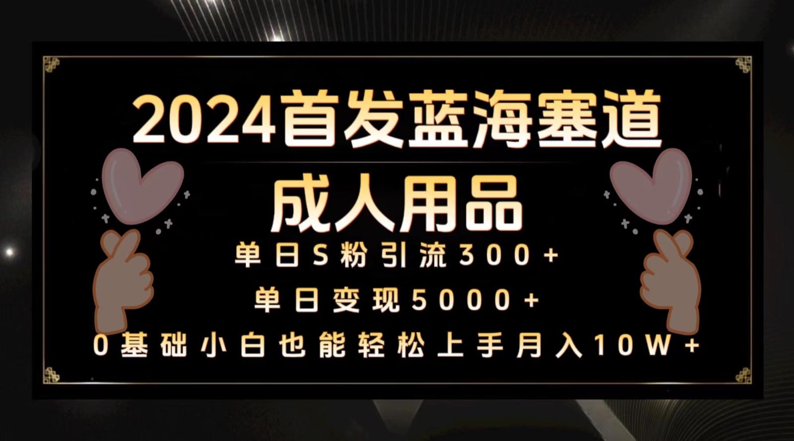 2024首发蓝海塞道成人用品，月入10W+保姆教程-87创业网