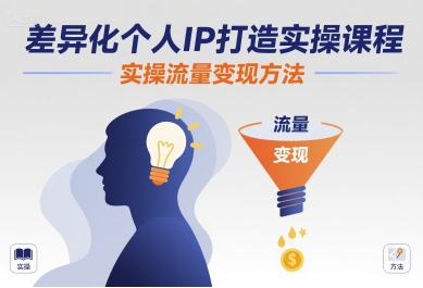 差异化个人IP打造实操课程，实操流量变现方法-87创业网