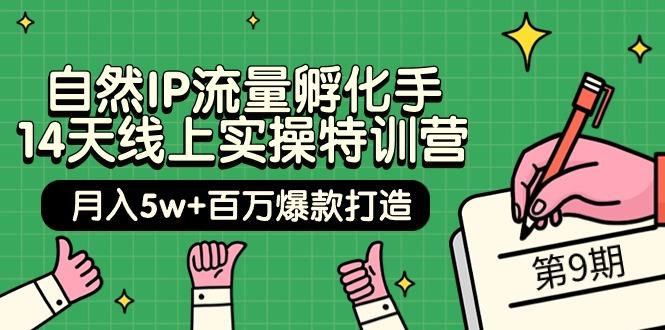 (9881期)自然IP流量孵化手 14天线上实操特训营【第9期】月入5w+百万爆款打造 (74节)-87创业网