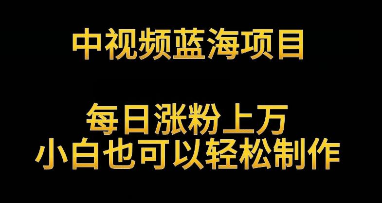 中视频蓝海项目，解读英雄人物生平，每日涨粉上万，小白也可以轻松制作，月入过万不是梦【揭秘】-87创业网