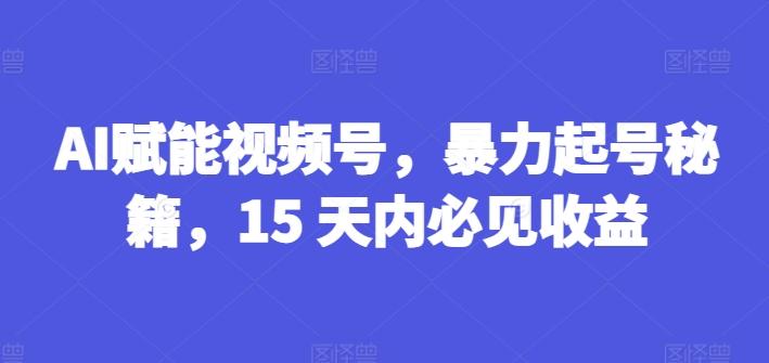 AI赋能视频号，暴力起号秘籍，15 天内必见收益【揭秘】-87创业网