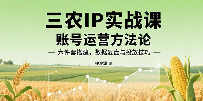 三农IP实战课：账号运营方法论，六件套搭建，数据复盘与投放技巧-87创业网