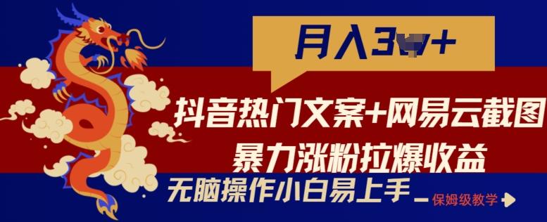 抖音热门文案+网易云截图暴力涨粉拉爆收益玩法，小白无脑操作，简单易上手【揭秘】-87创业网