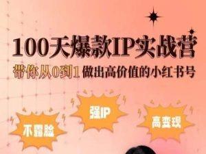 小红书100天爆款IP实战营，带你从0到1做出高价值的小红书号-87创业网