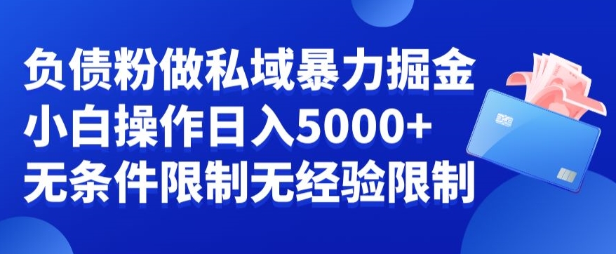 负债粉私域暴力掘金，小白操作入5000，无经验限制，无条件限制【揭秘】-87创业网