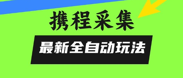 携程信息采集全自动玩法，0风控，无脑开干【揭秘】-87创业网