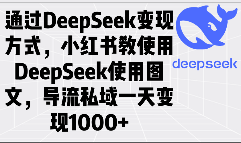 通过DeepSeek变现方式，小红书教使用DeepSeek图文，导流私域一天变现1000+-87创业网