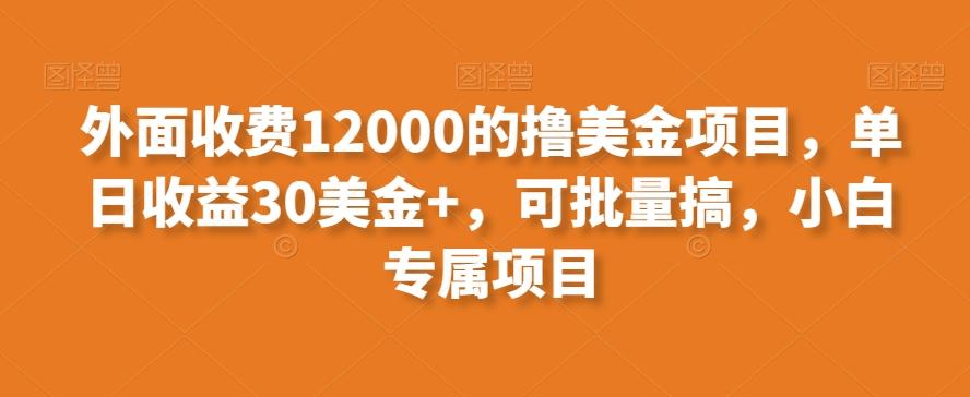 外面收费12000的撸美金项目，单日收益30美金+，可批量搞，小白专属项目-87创业网