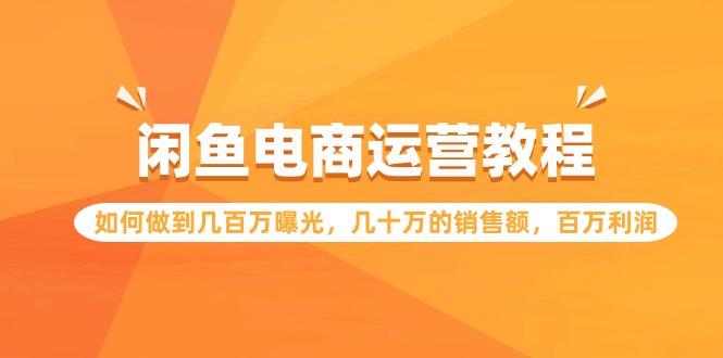 (9560期)闲鱼电商运营教程：如何做到几百万曝光，几十万的销售额，百万利润-87创业网