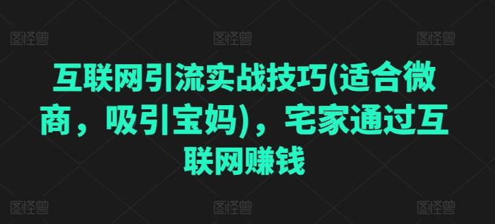 互联网引流实战技巧(适合微商，吸引宝妈)，宅家通过互联网赚钱-87创业网