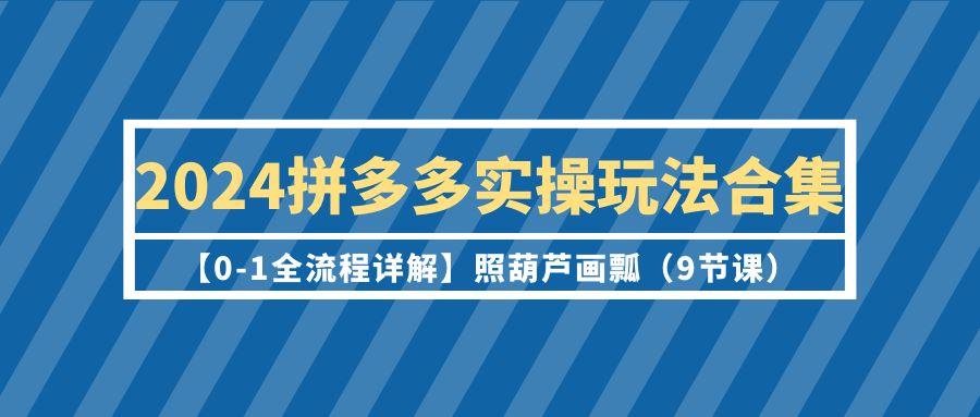 (9559期)2024拼多多实操玩法合集【0-1全流程详解】照葫芦画瓢(9节课)-87创业网