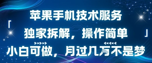 苹果手机技术服务，独家拆解，操作简单，小白可做，月过1W不是梦-87创业网