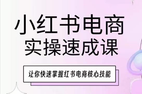 小红书电商实操速成课，让你快速掌握红书电商核心技能-87创业网