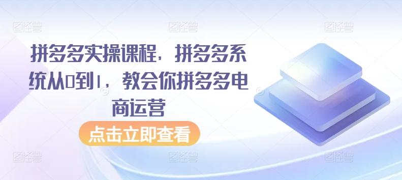 拼多多实操课程，拼多多系统从0到1，教会你拼多多电商运营-87创业网