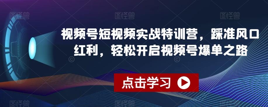 视频号短视频实战特训营，踩准风口红利，轻松开启视频号爆单之路-87创业网