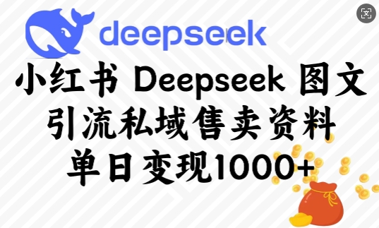 小红书Deepseek图文引流私域售卖资料，单日变现多张-87创业网