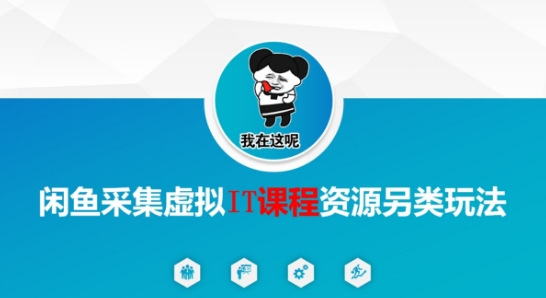 闲鱼采集虚拟IT课程资源另类玩法，干货满满-87创业网