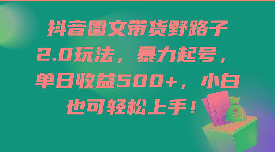 (9790期)抖音图文带货野路子2.0玩法，暴力起号，单日收益500+，小白也可轻松上手！-87创业网