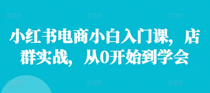 小红书电商小白入门课，店群实战，从0开始到学会-87创业网