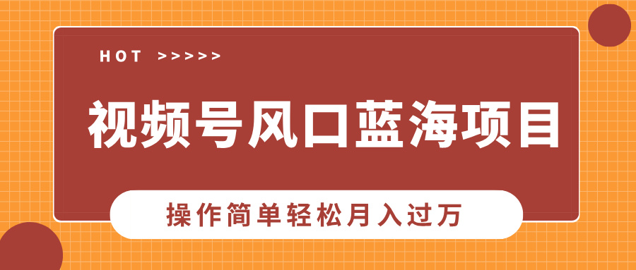 视频号风口蓝海项目，中老年人的流量密码，操作简单轻松月入过万-87创业网