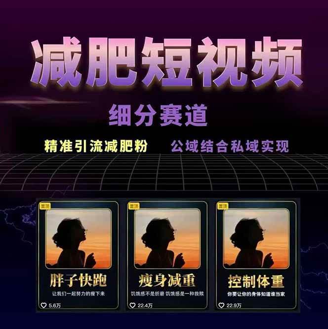 图片[2]-减肥短视频运营实战课：含素材制作、剪映教学，讲精准引流、变现设计与内容模板技巧-87创业网