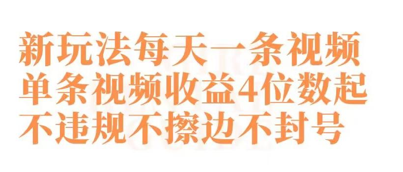 快手新玩法每天一条视频单条视频收益4位数起不违规不擦边不封号【揭秘】-87创业网