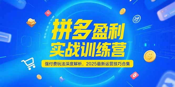 拼多多盈利实战训练营，强付费玩法深度解析，2025运营技巧合集-更新6月-87创业网
