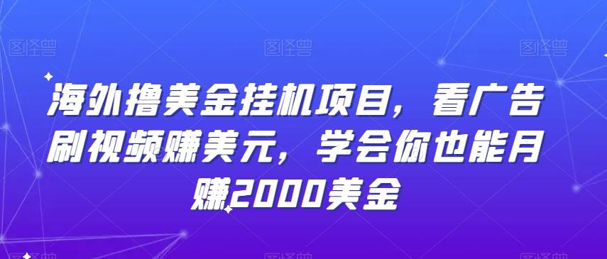 海外撸美金挂机项目，看广告刷视频赚美元，学会你也能月赚2000美金-87创业网