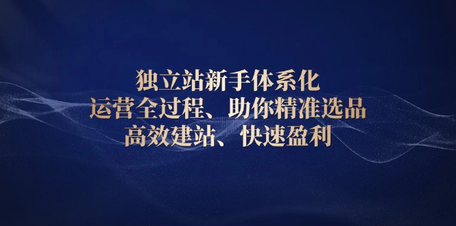 独立站新手体系化 运营全过程，助你精准选品、高效建站、快速盈利-87创业网