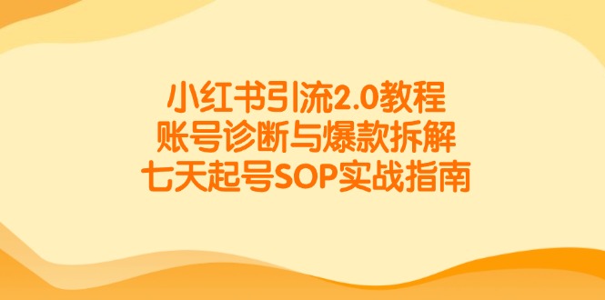 小红书引流2.0教程，账号诊断与爆款拆解，七天起号SOP实战指南-87创业网
