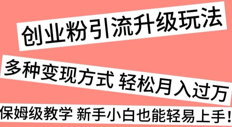 创业粉引流升级玩法，多种变现方式轻松月入过万，保姆级教学新手小白也能轻易上手！-87创业网