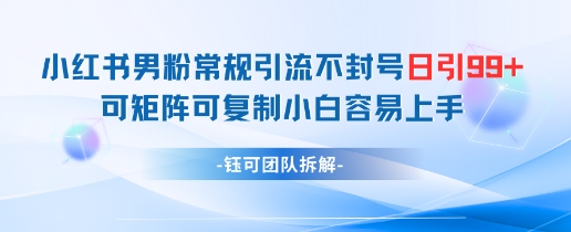 小红书男粉常规引流不封号日引99+变现简单 可矩阵可复制小白容易上手-87创业网