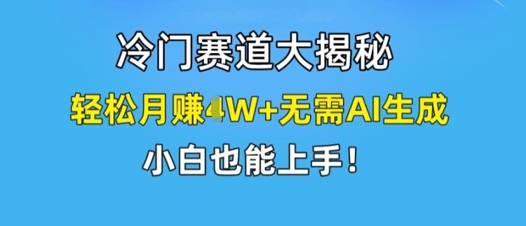 冷门赛道大揭秘，轻松月赚1W+无需AI生成，小白也能上手【揭秘】-87创业网