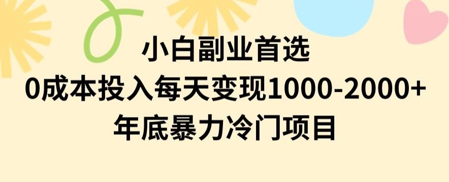 小白副业首选，0成本投入，每天变现1000-2000年底暴力冷门项目【揭秘】-87创业网